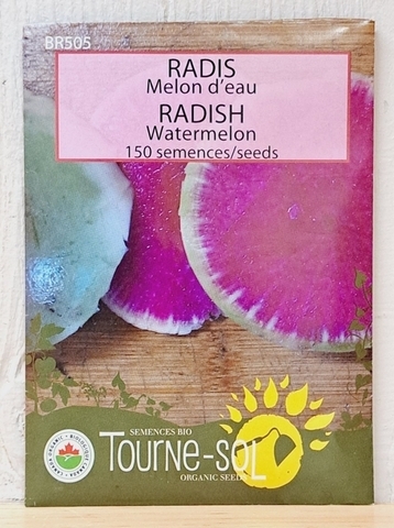 SEEDS - Radish Watermelon (Tourne-sol)
